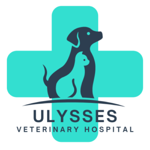 Ulysses Veterinary Hospital